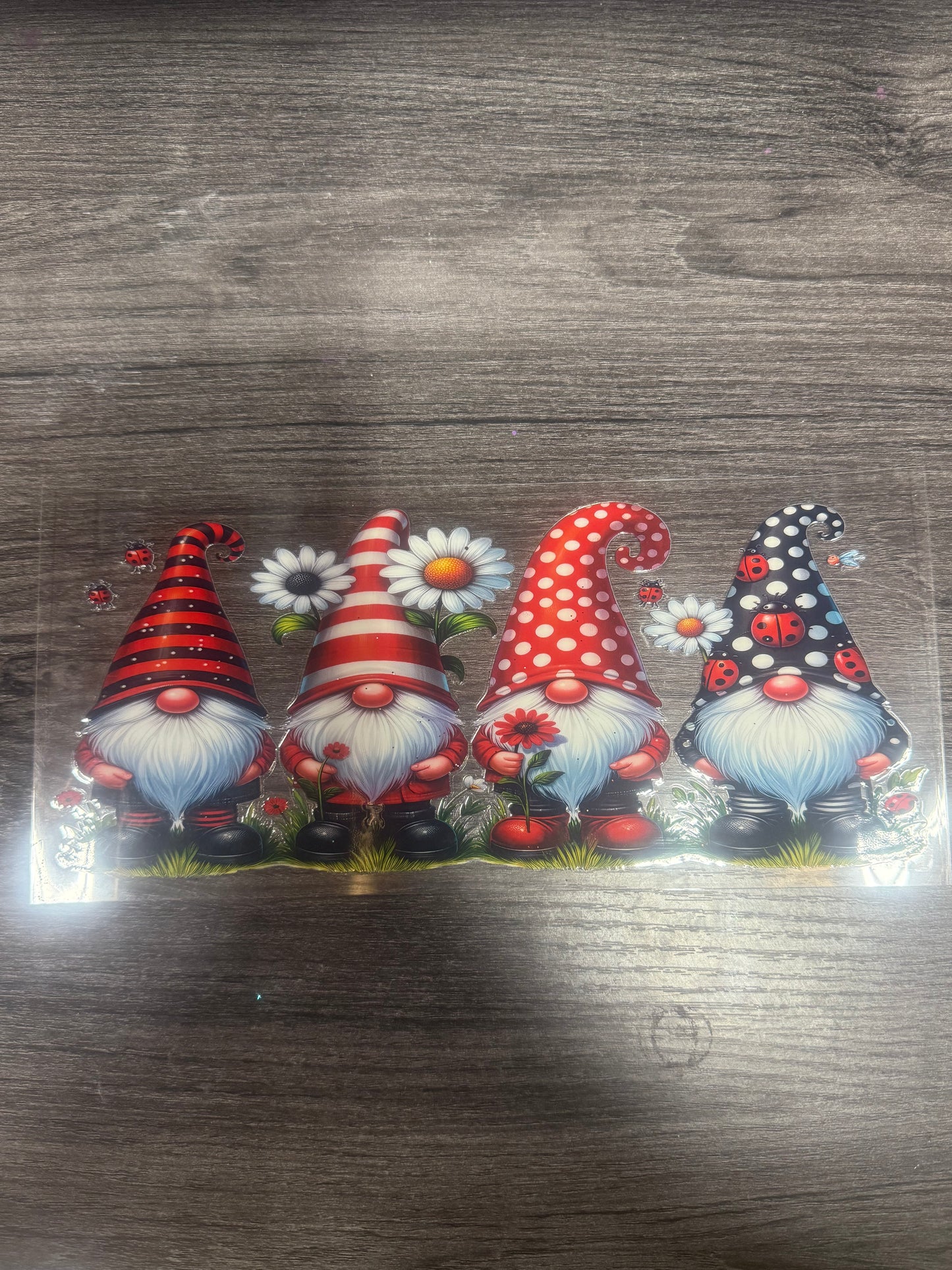 Gnomes LadyBug B318