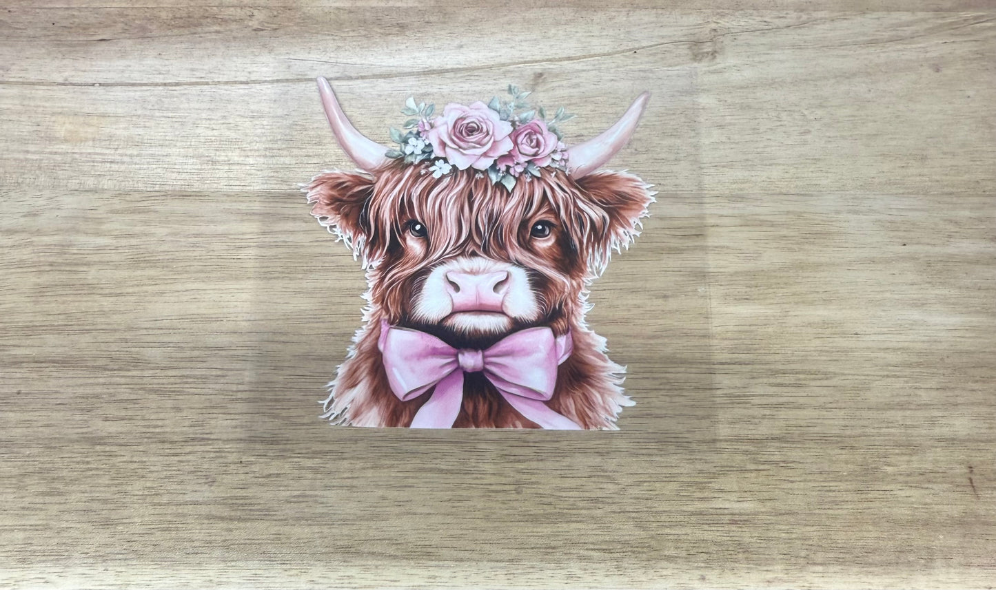 Pink Bow Highland Cow A91