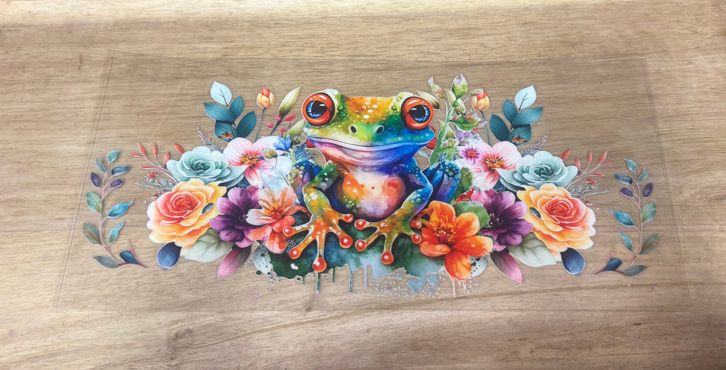 Frog B28