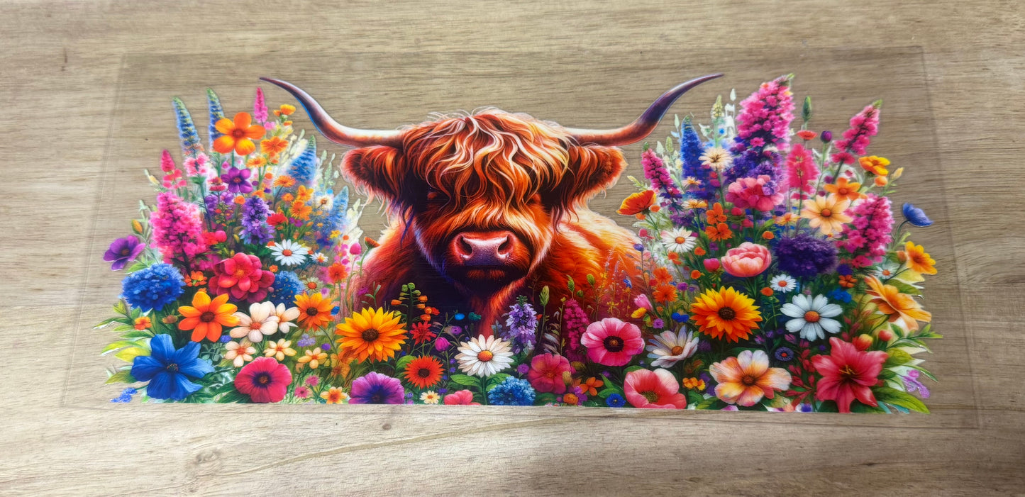 Cow Wildflowers B54