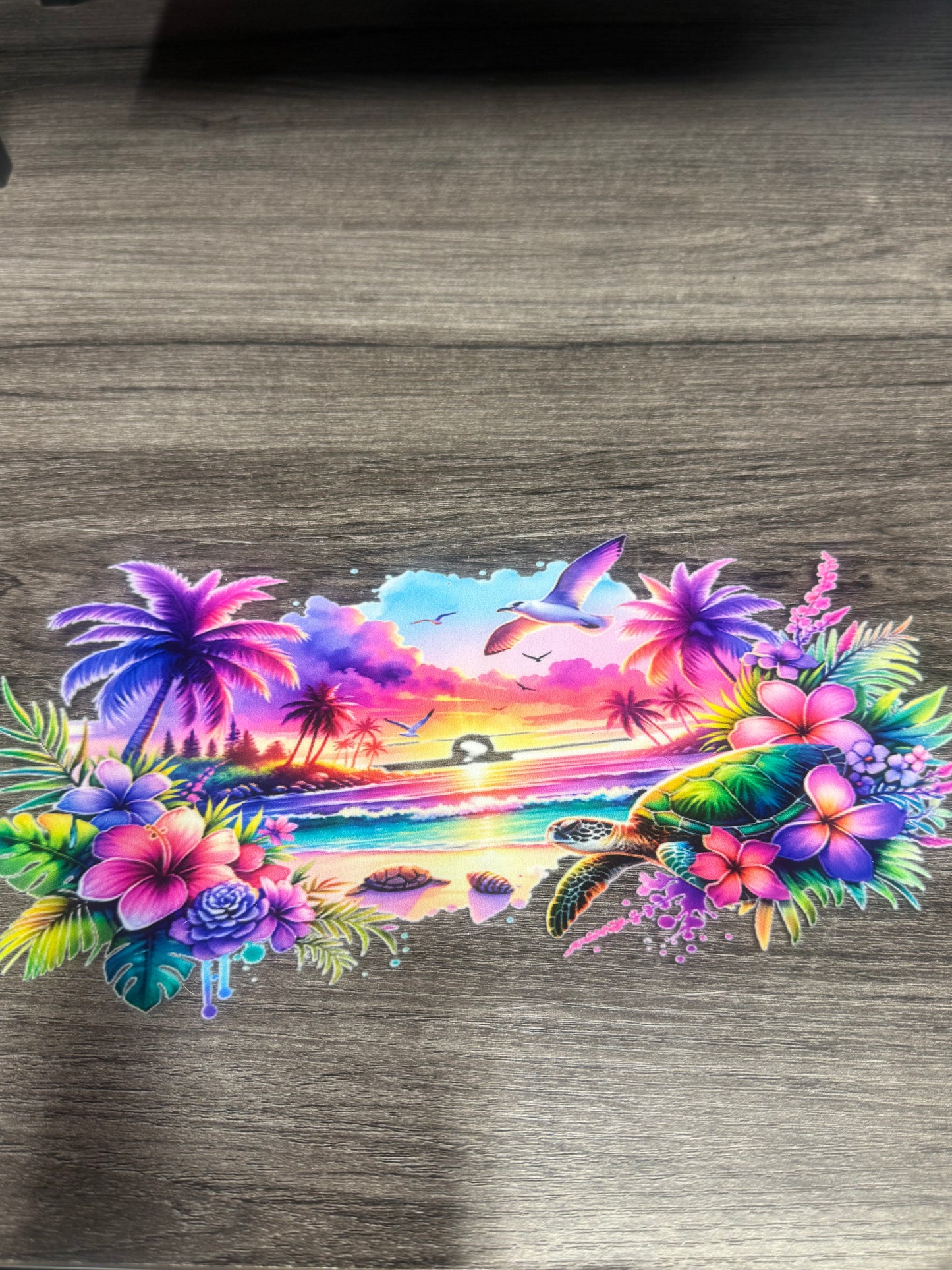 Beach B244