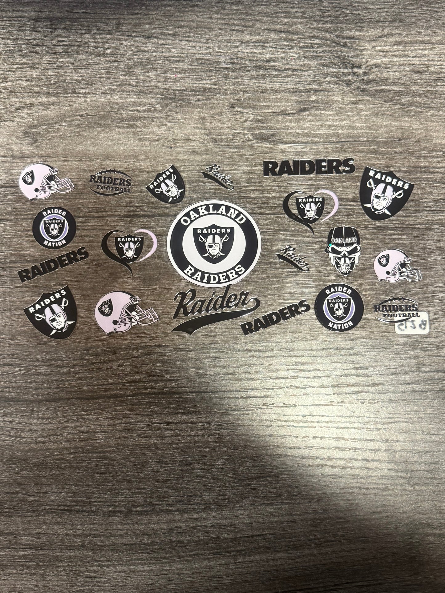 Raiders B273