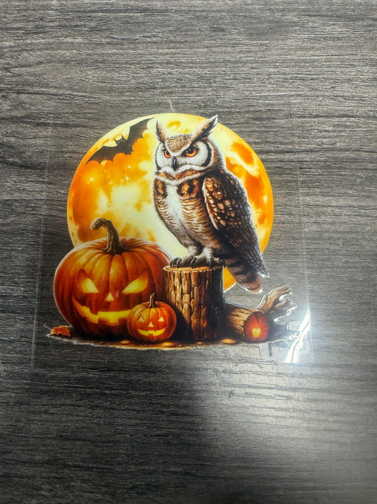 Owl A249