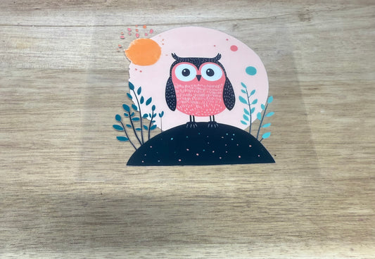 Owl A77