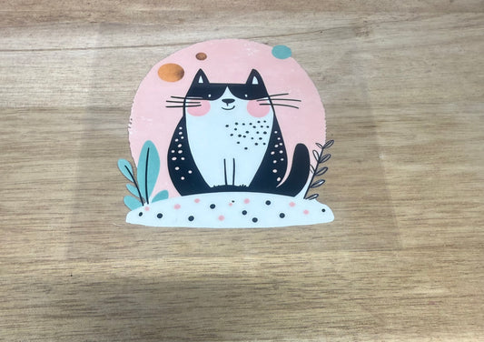 Cat A80