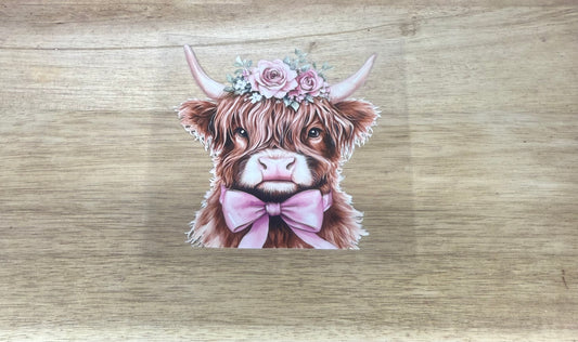 Pink Bow Highland Cow A91