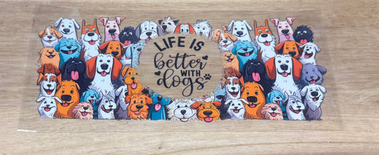 Dogs B100