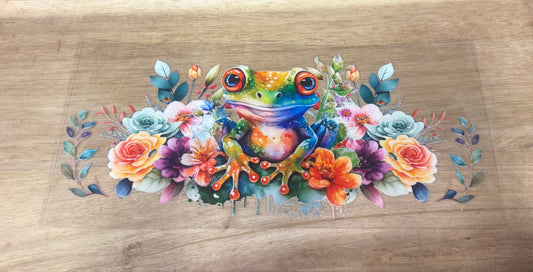 Frog B28