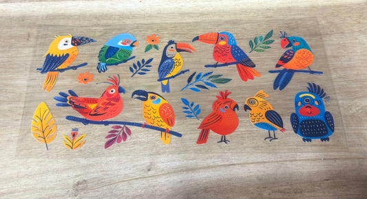 Parrots B31