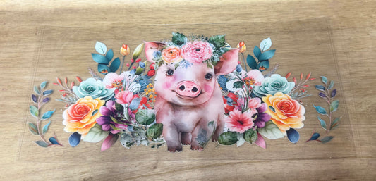 Pig B35