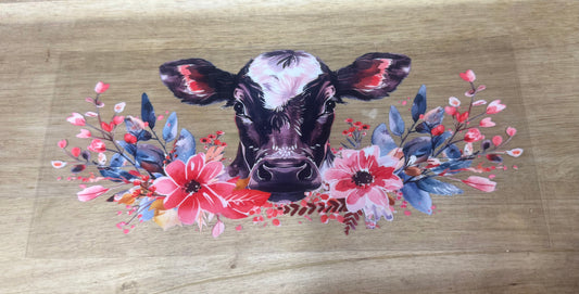 Cow B50