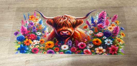 Cow Wildflowers B54