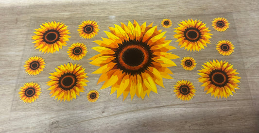 Sunflower B59