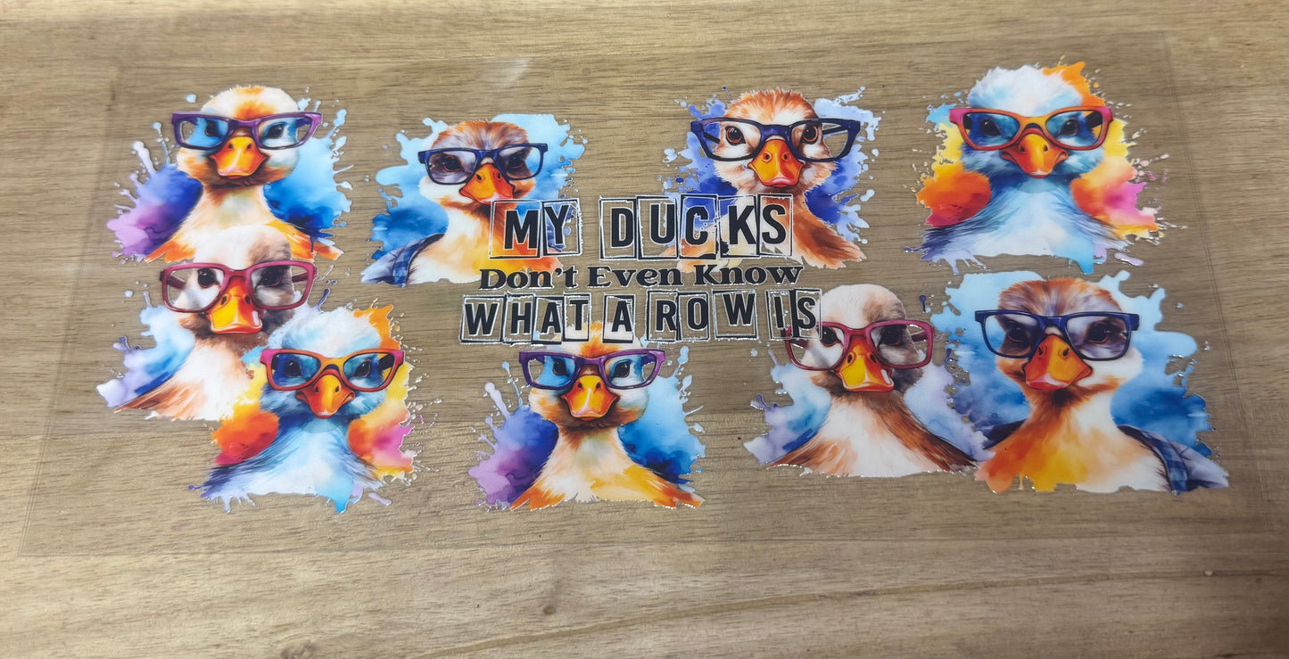 My Ducks B16