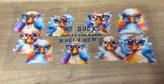 My Ducks B16