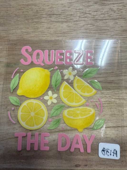 Squeeze The Day A138
