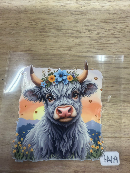 Gray Cow A141
