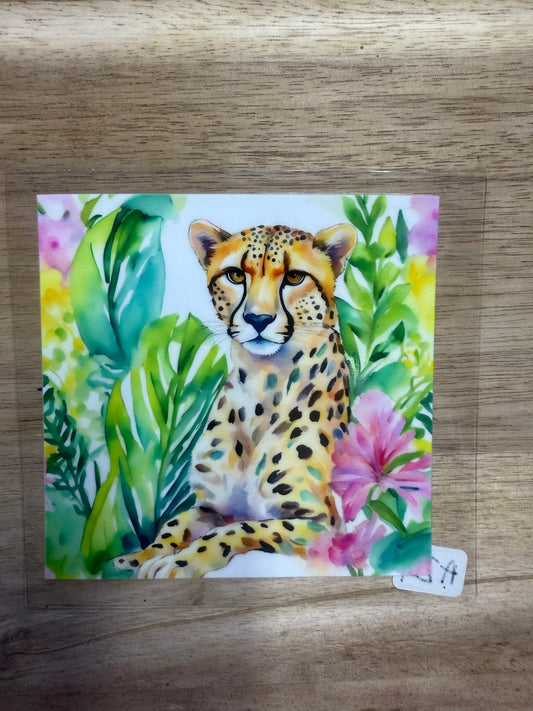Jaguar A201