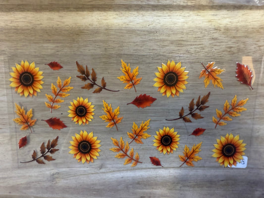 Fall B136