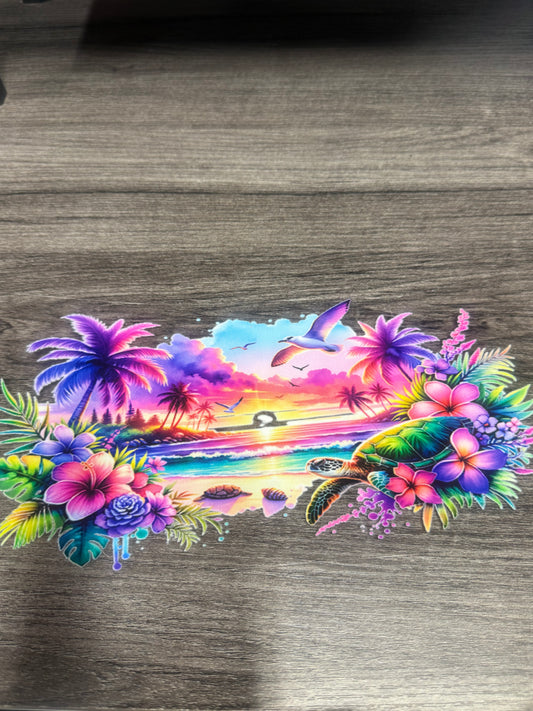 Beach B244
