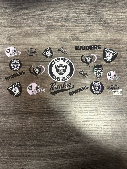 Raiders B273
